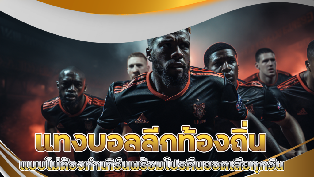 แทงบอลลีกท้องถิ่น SNOWY555