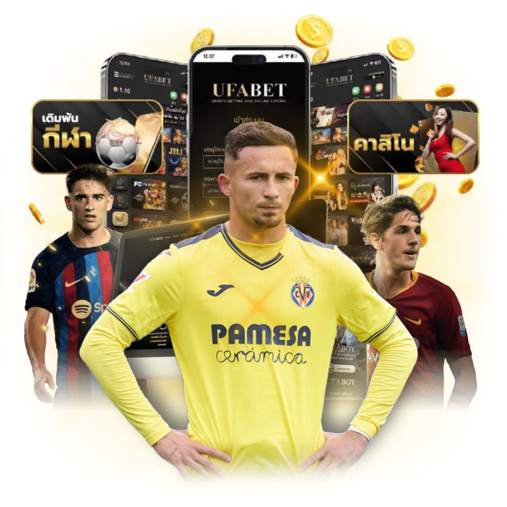 ข้อจำกัดและความเสี่ยง